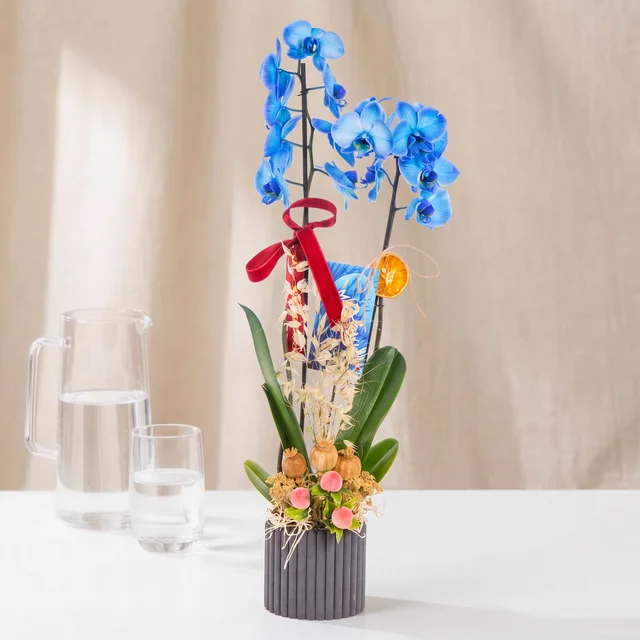 Blue Elegance Çift Dallı Orkide