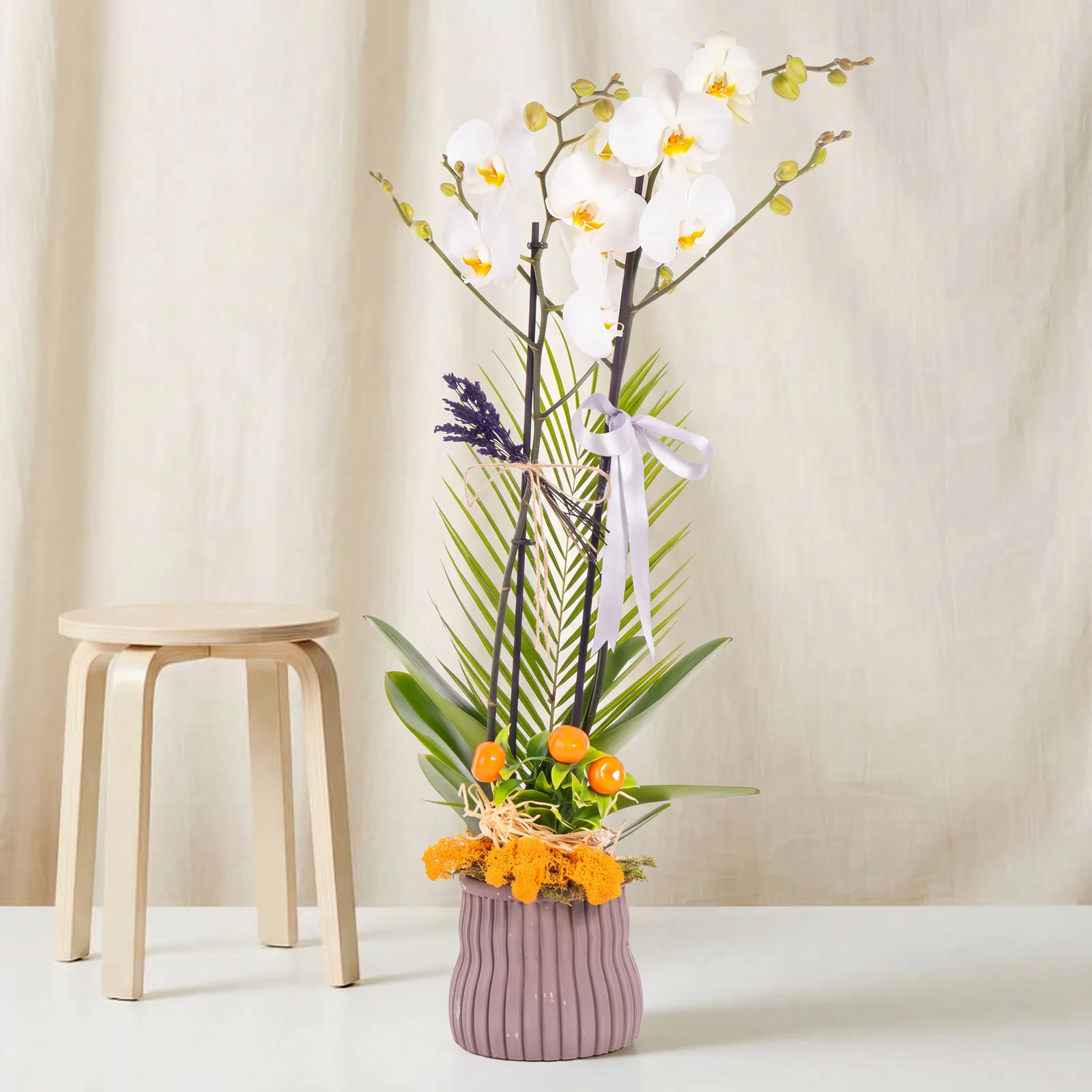 Fresh Lavender Beyaz Orkide