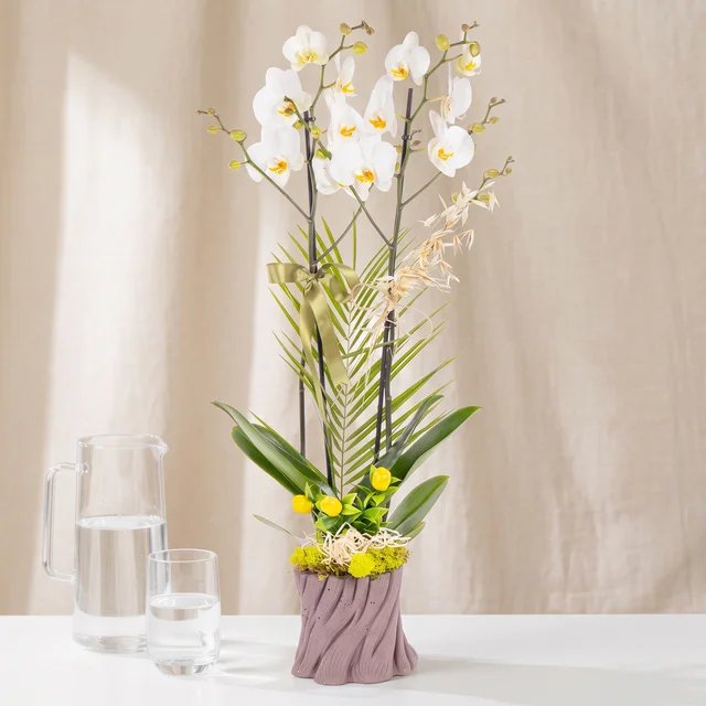 Lemon Breeze Çift Dal Beyaz Orkide