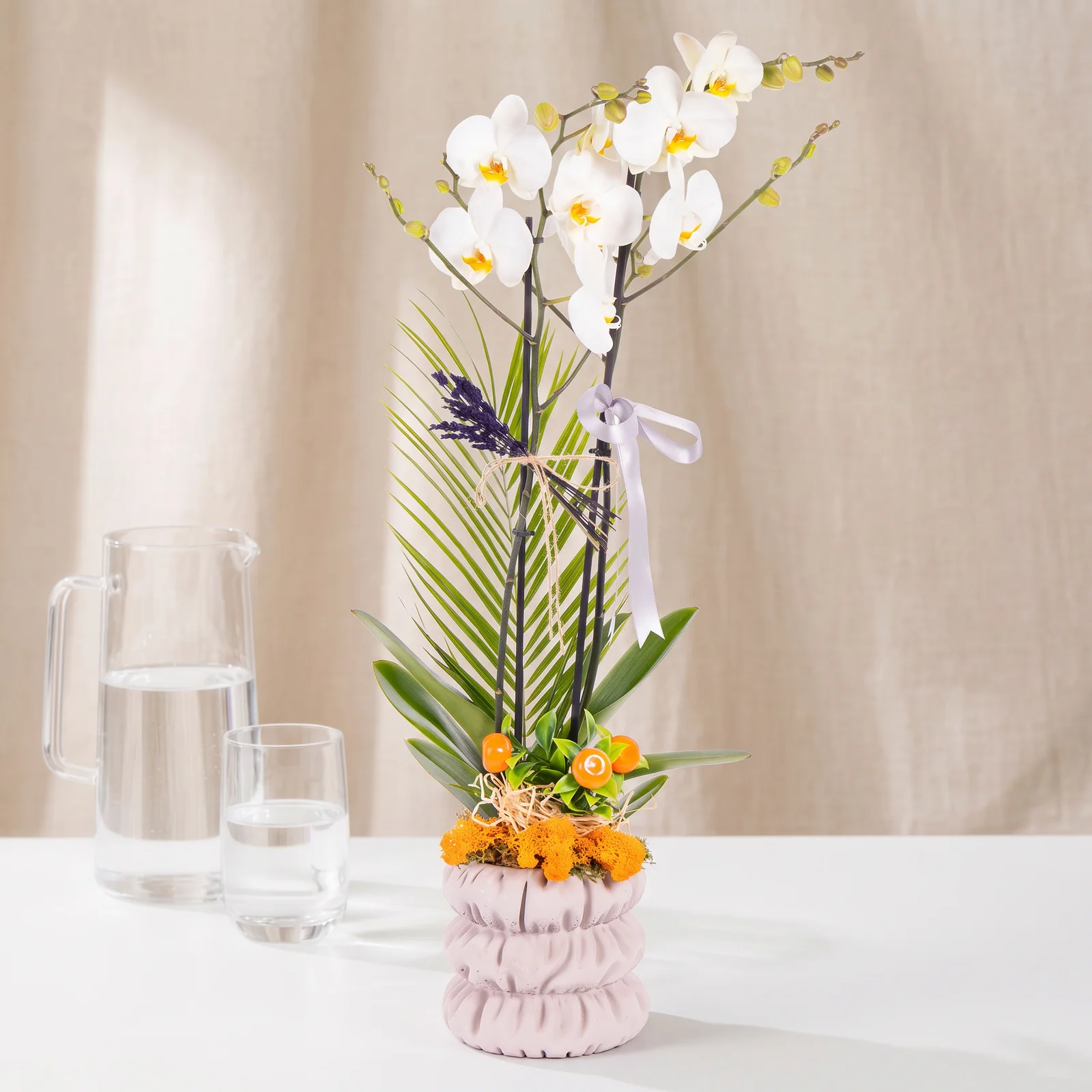 Lavender Pure Orkide